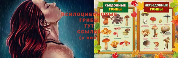 таблы Белокуриха