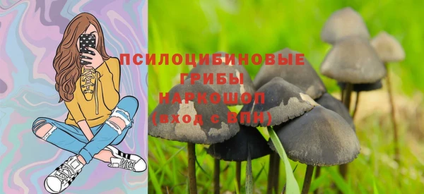 таблы Белокуриха