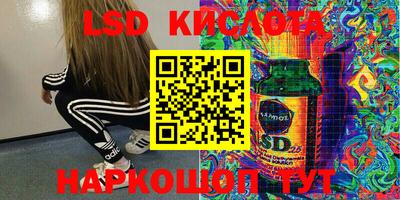 ПСИЛОЦИБИНОВЫЕ ГРИБЫ Тверь
